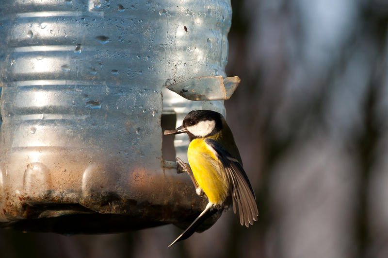 Pioneering ways to tackle home waste challenges